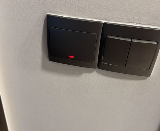 Electric service in singapore (1)
